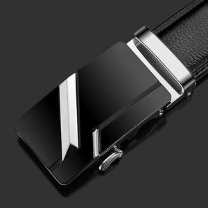 Dark Shaded Leather Belt