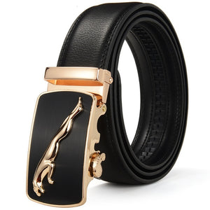 Dark Shaded Leather Belt