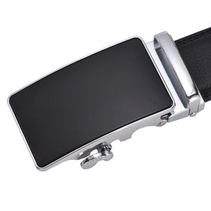 Dark Shaded Leather Belt